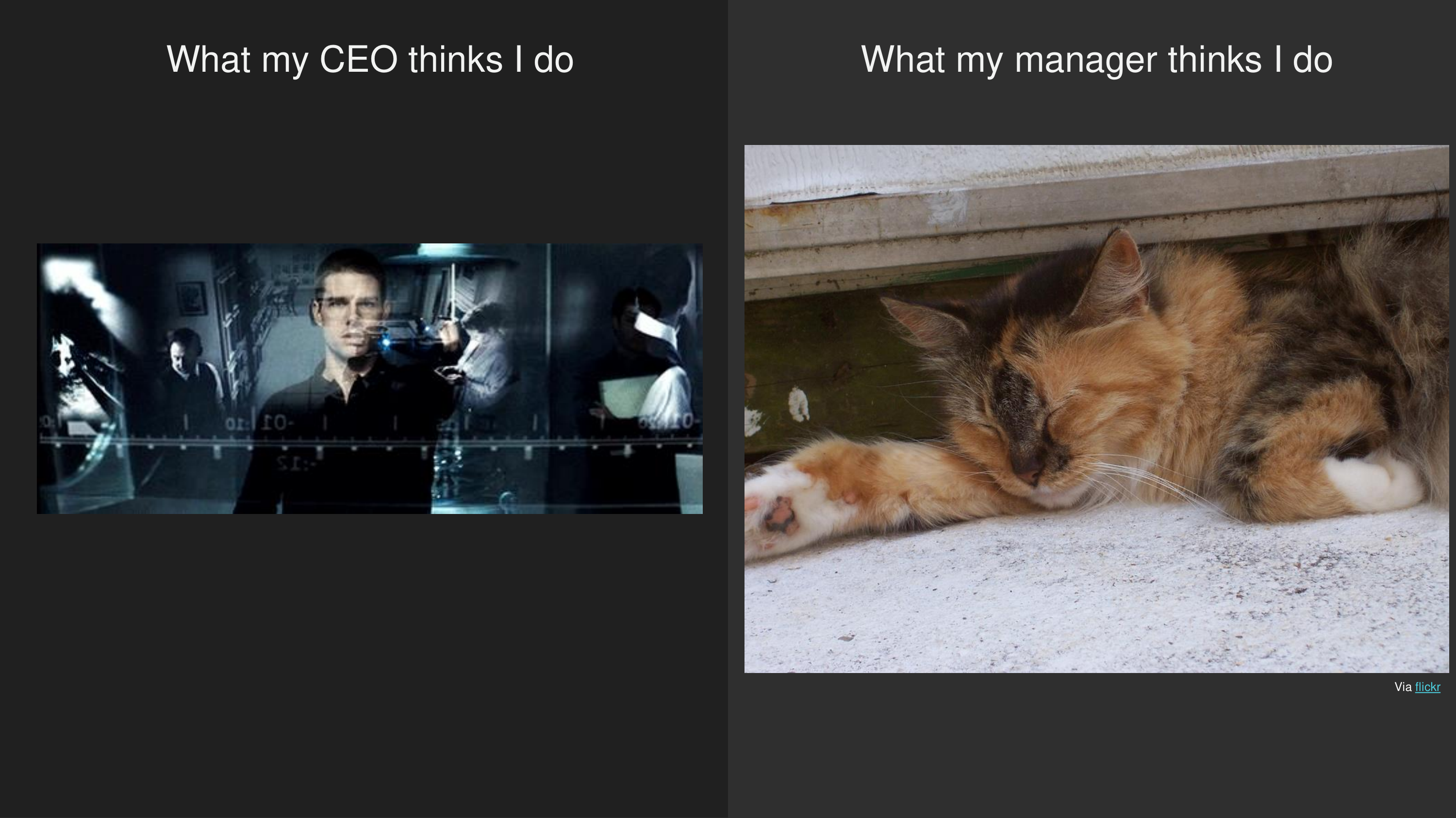 What my CEO thinks I do vs. what my manager thinks I do